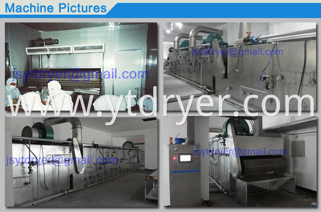 DWT Series Mesh-Belt Dryer-Drying Machine